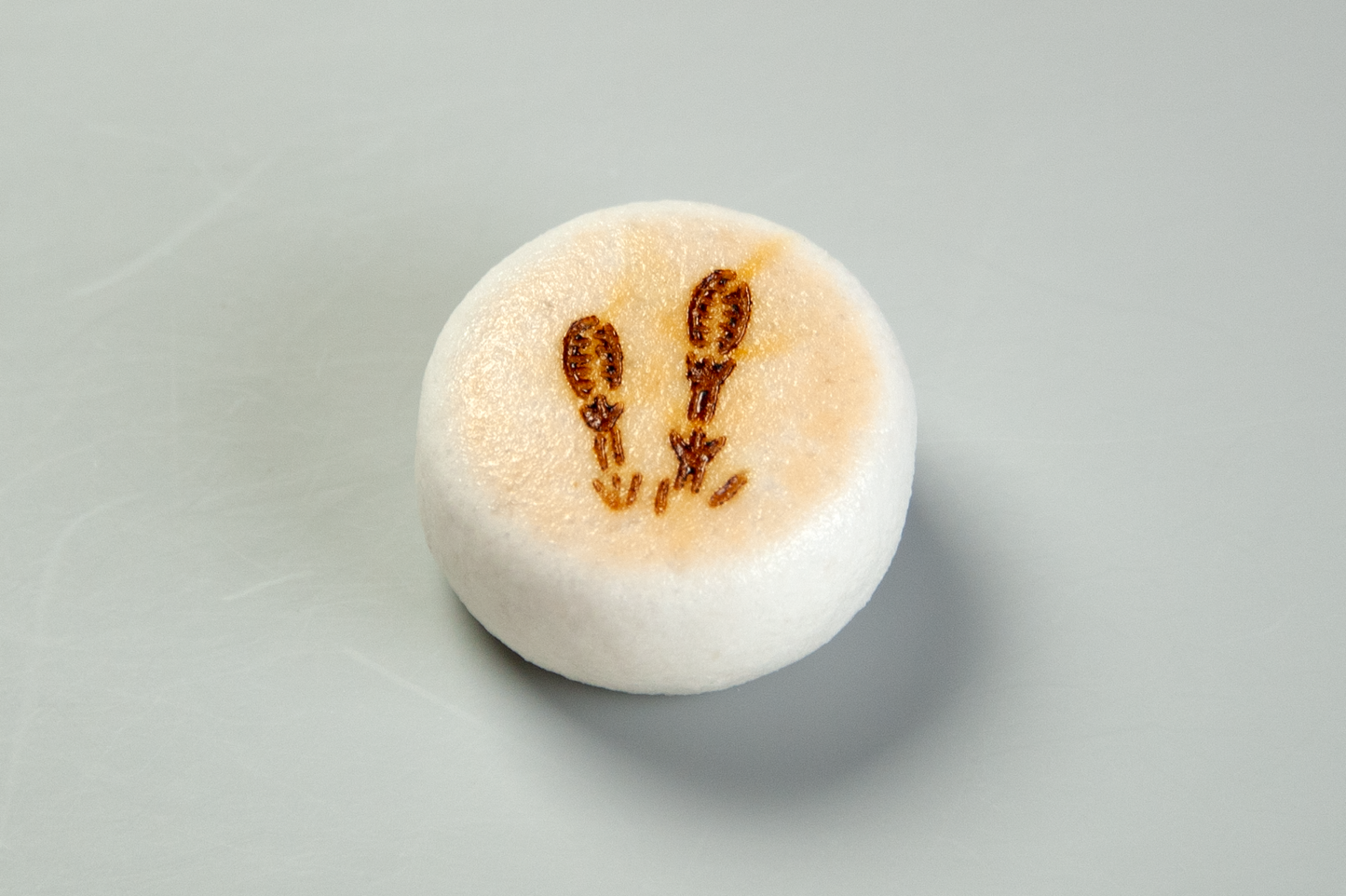 (2420)土筆(つくし)