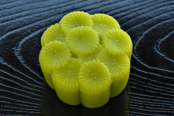 (266)常盤木(ときわぎ)