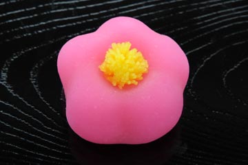 福梅(ふくうめ)【平成24年】