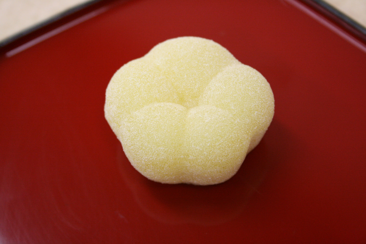 臘梅(ろうばい)【平成21年】