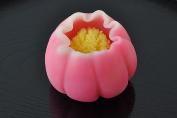 牡丹(ぼたん)【平成23年】