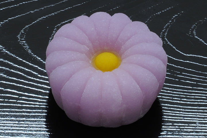野菊(のぎく)【令和2年】