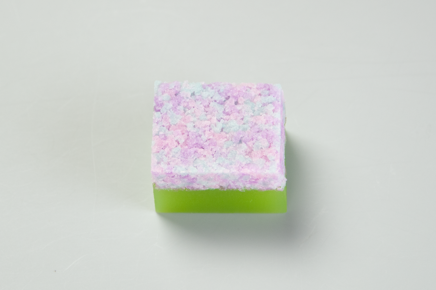 (2446)八仙花(はっせんか)