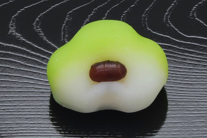 (2133)常盤木(ときわぎ)