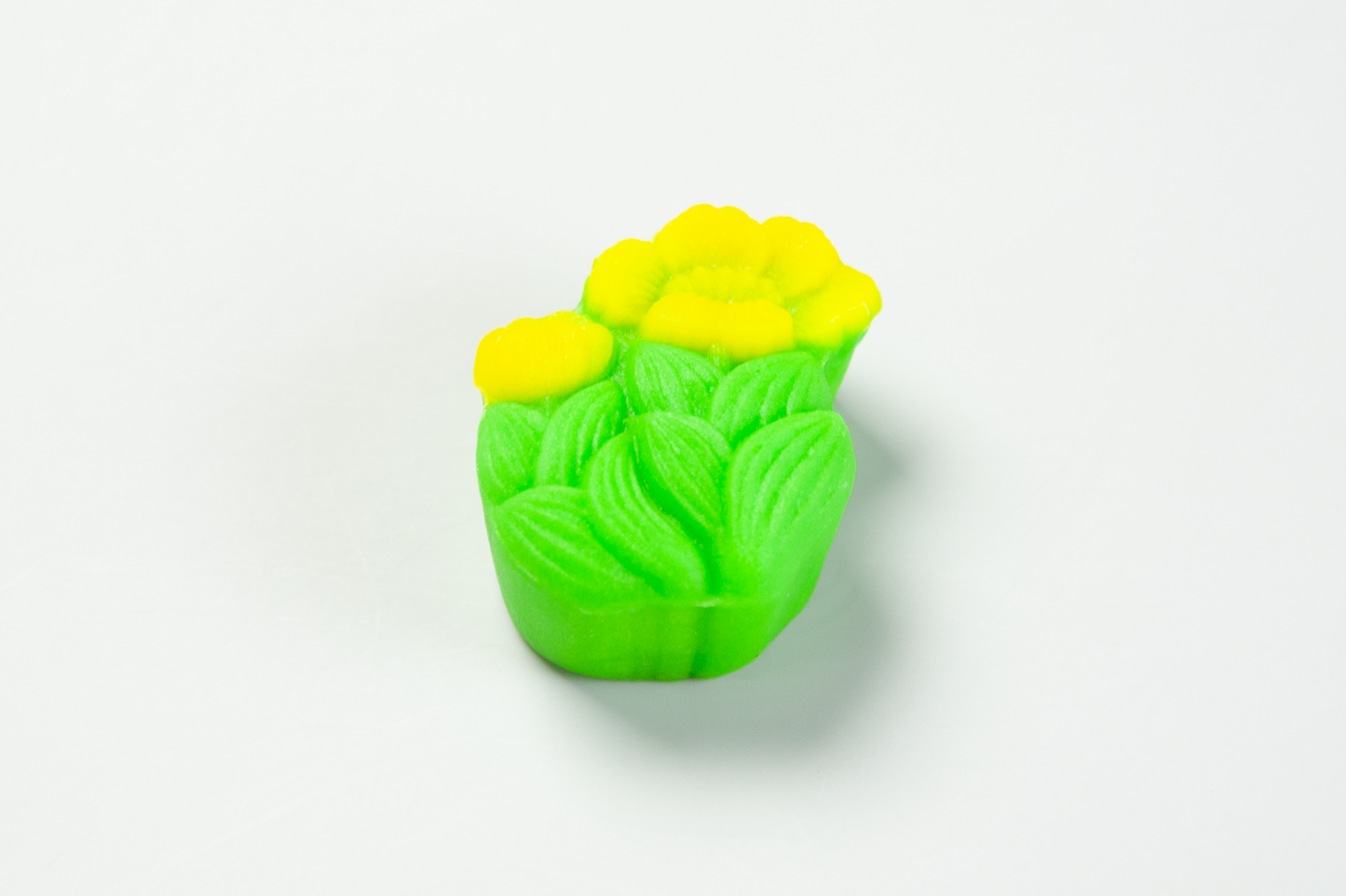 福寿草(ふくじゅそう)【令和8年】