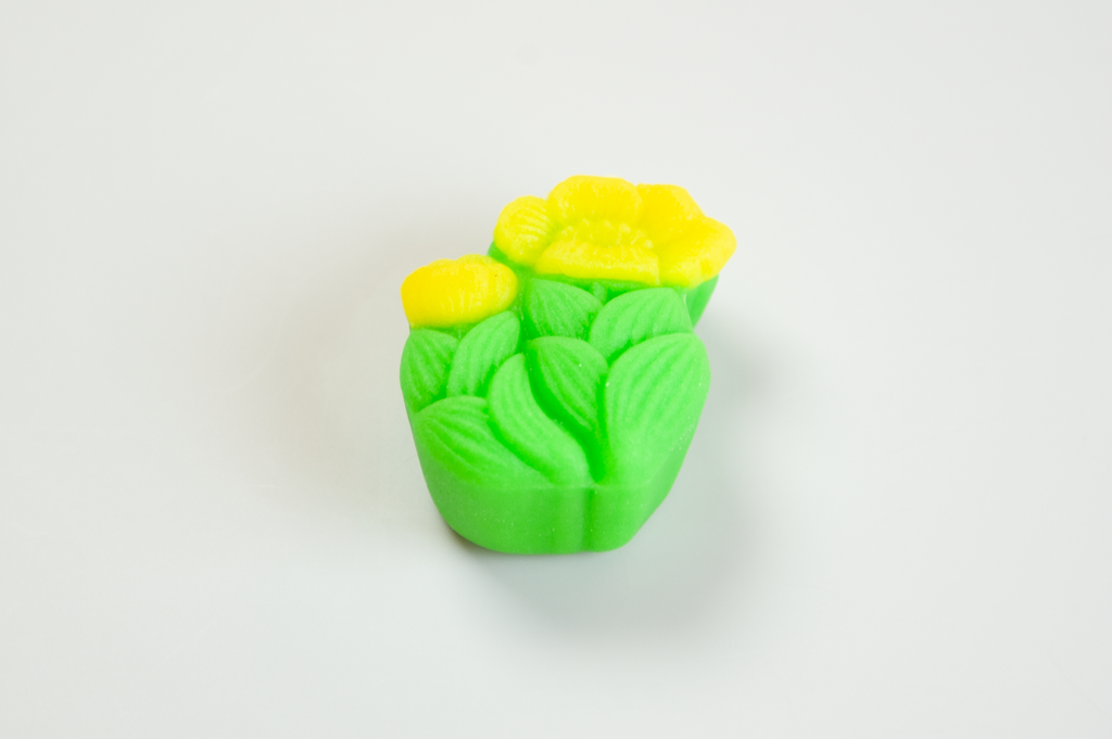 福寿草(ふくじゅそう)【令和７年】