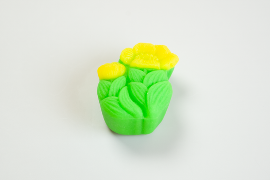 福寿草(ふくじゅそう)【令和７年】