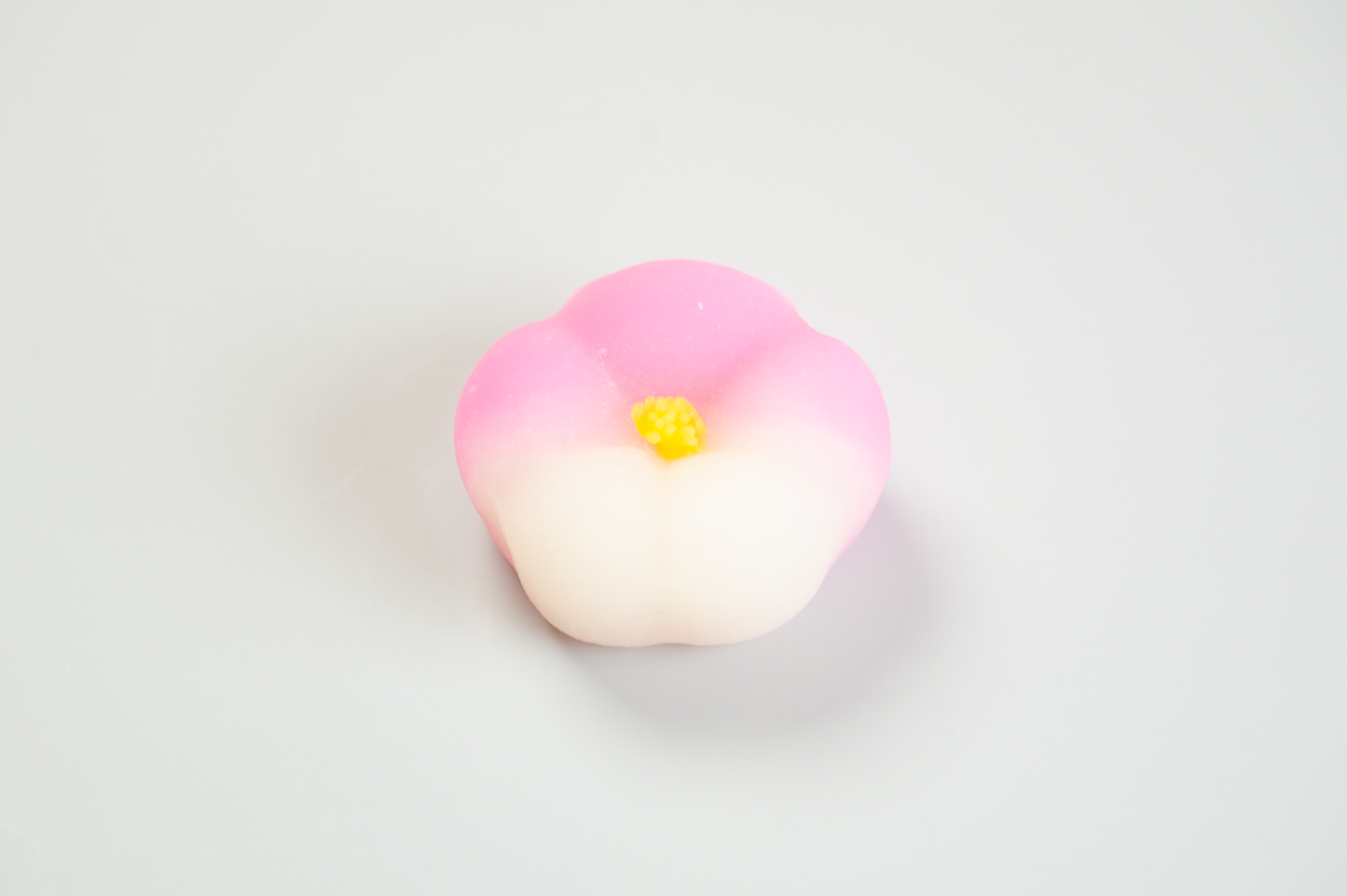 東風(こち)【令和７年】