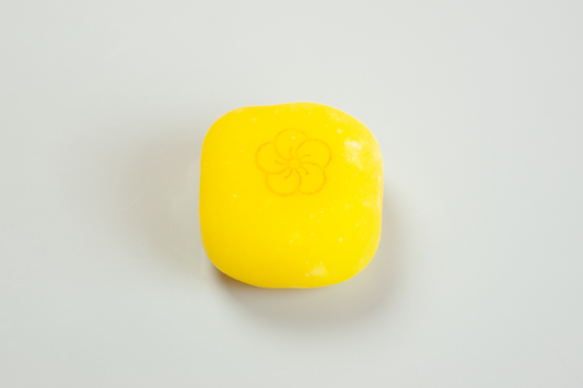 黄梅(おうばい)【令和７年】