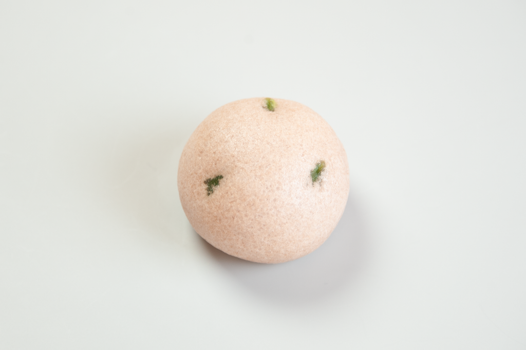 芽生え(めばえ)【令和７年】