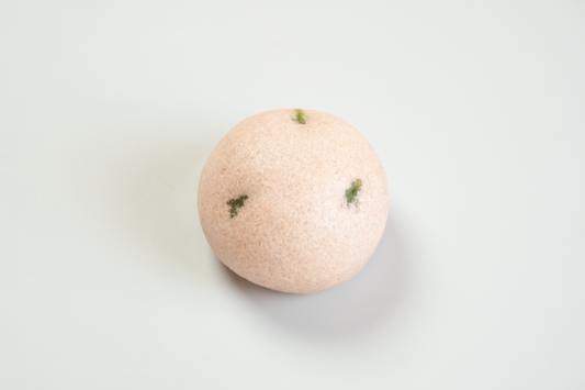 芽生え(めばえ)【令和７年】