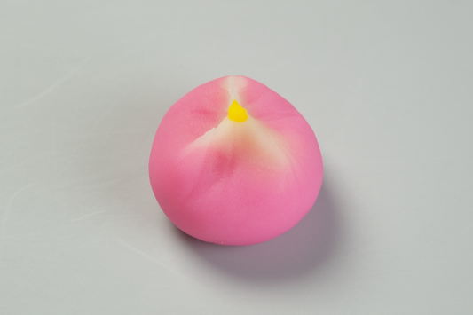 (2421)杏の花（あんずのはな）