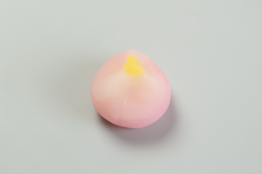 (2580)杏の花（あんずのはな）