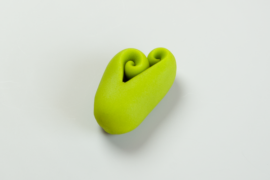 (2581)早蕨（さわらび）