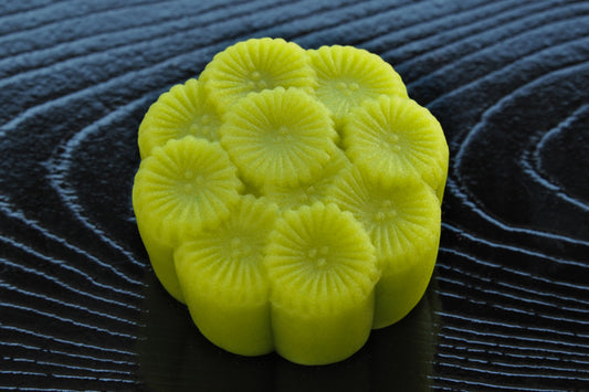 (266)常盤木（ときわぎ）