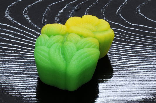 (301)福寿草（ふくじゅそう）