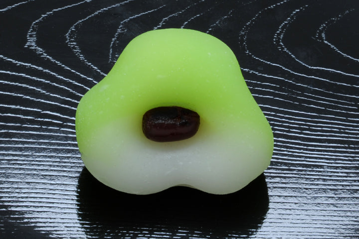 (319)常盤木（ときわぎ）