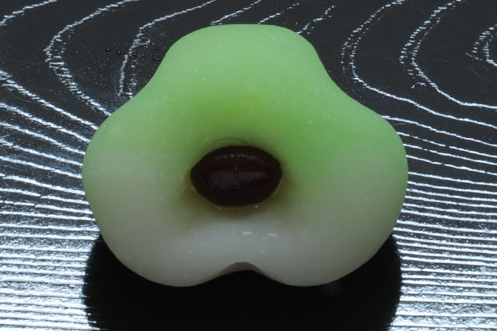 常盤木(ときわぎ)【令和3年】