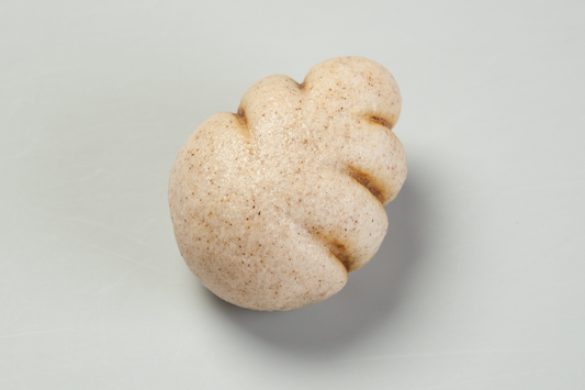 (2431)筍（たけのこ）