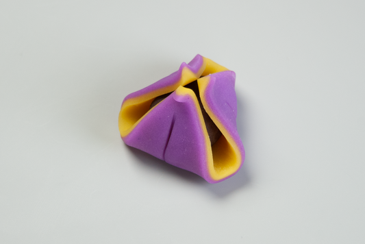 (2590)菖蒲（しょうぶ）