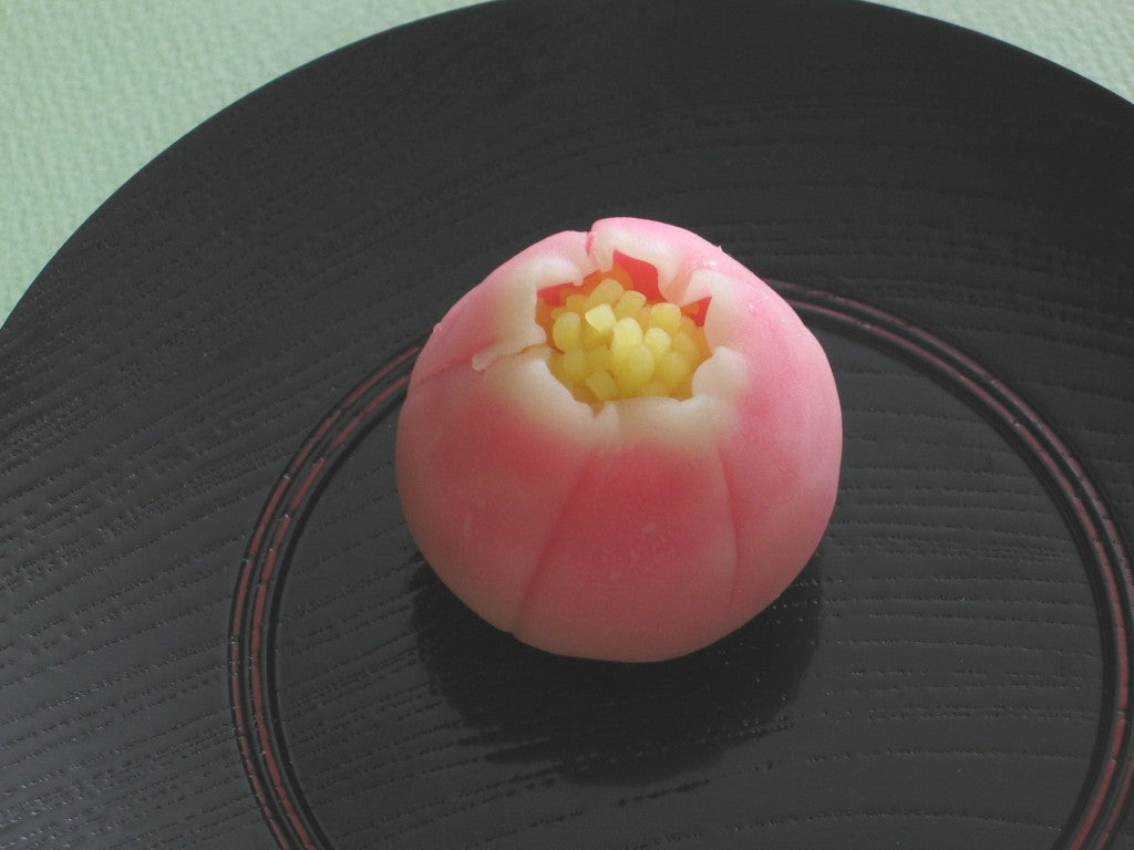 寒牡丹（かんぼたん）【平成19年】