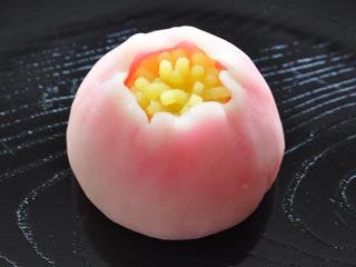 (365)冬牡丹（ふゆぼたん）