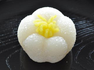 白梅（しらうめ）【平成23年】