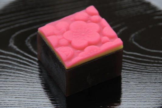 梅衣（うめごろも）
