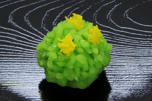 (534)菜の花（なのはな）