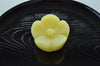 山吹（やまぶき）【平成23年】