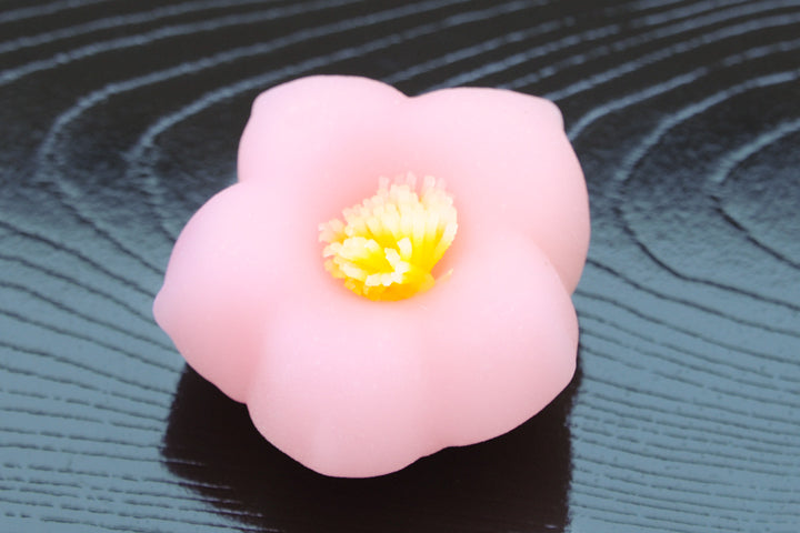 つつじ【平成25年】