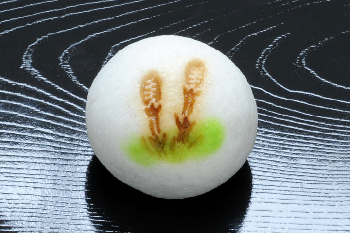(659)土筆（つくし）