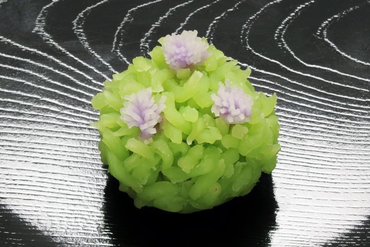 花菖蒲（はなしょうぶ）【平成29年】