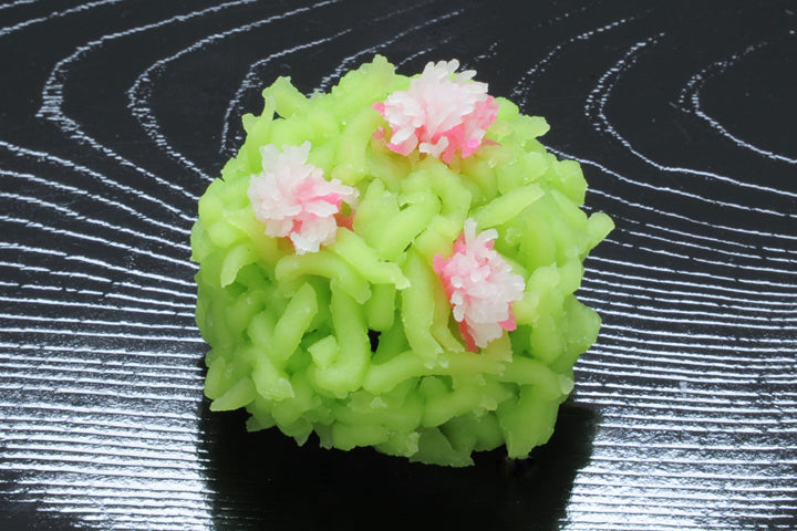 花菖蒲（はなしょうぶ）【平成30年】