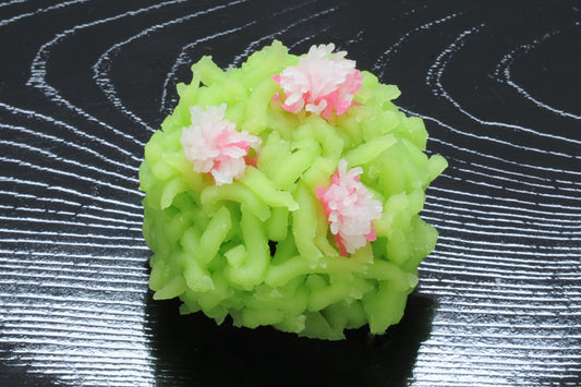 (670)花菖蒲（はなしょうぶ）