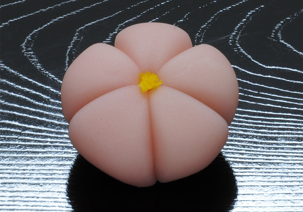 あんずの花（あんずのはな）【令和2年】