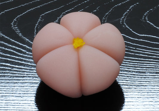 あんずの花（あんずのはな）【令和2年】