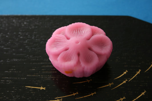 (791)撫子（なでしこ）