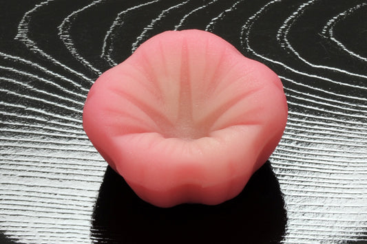 (956)朝顔（あさがお）