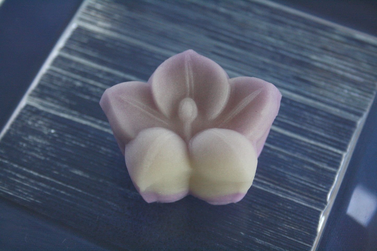 (1236)桔梗（ききょう）