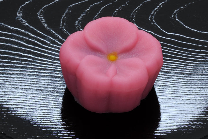 芙蓉（ふよう）【平成28年】