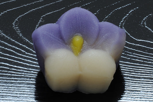 (1317)桔梗（ききょう）