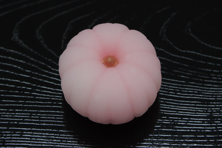 秋桜（こすもす）【平成25年】
