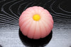 玉菊（たまぎく）【平成29年】
