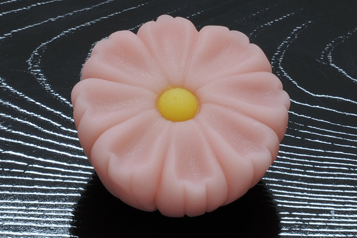 (1483)秋桜（こすもす）