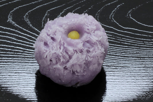 (1541)野菊（のぎく）