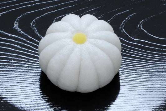 (1550)白菊（しらぎく）