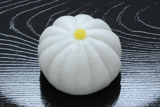 (1554)白菊（しらぎく）