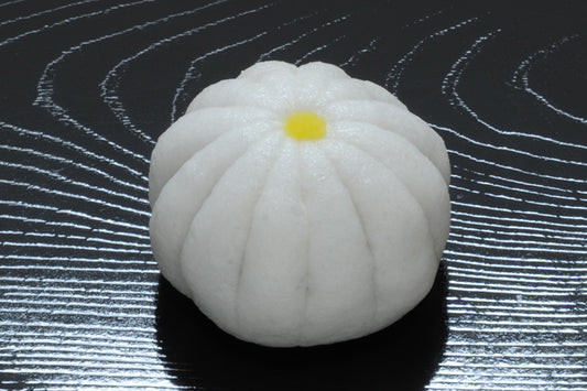 (1560)白菊（しらぎく）