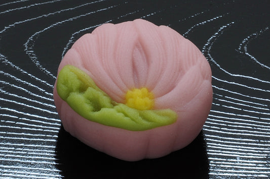 (1567)菊の香（きくのかおり）